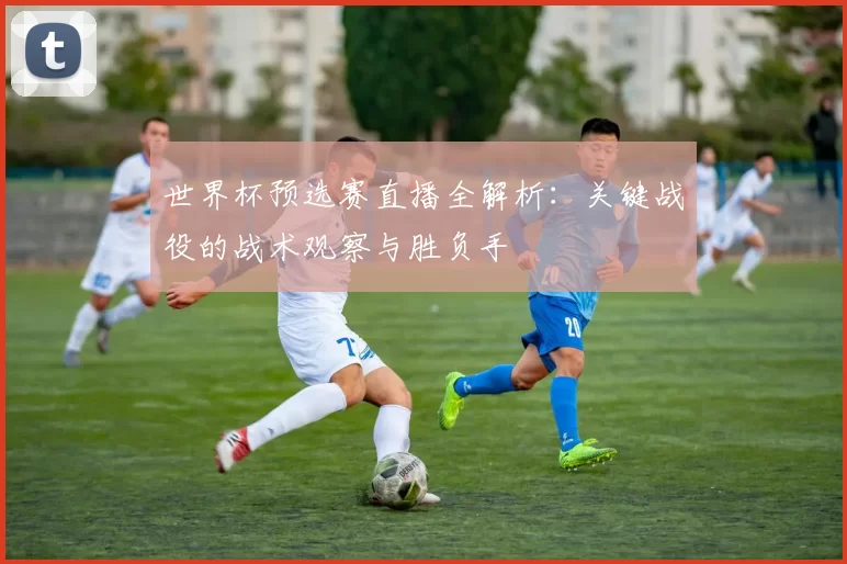 世界杯预选赛直播全解析：关键战役的战术观察与胜负手