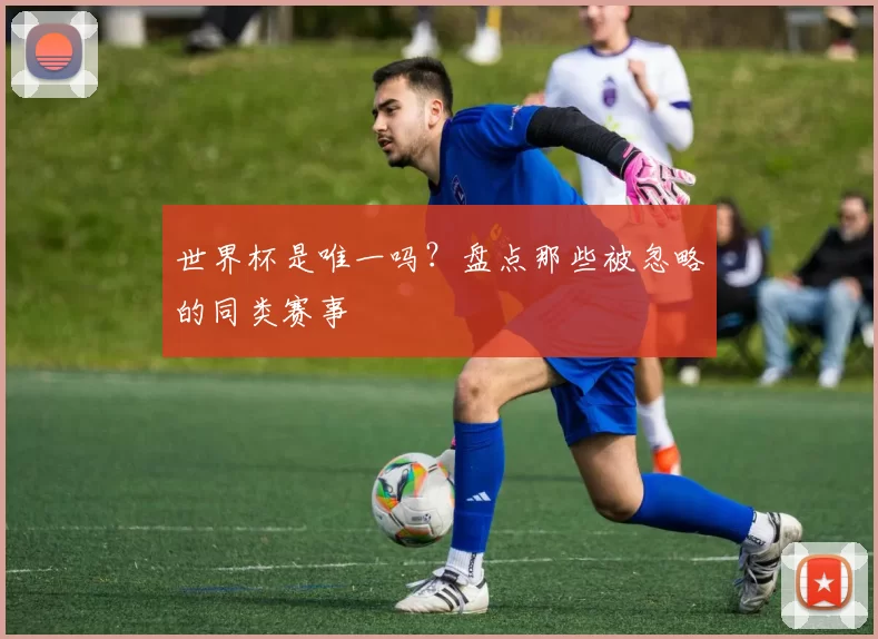 世界杯是唯一吗?盘点那些被忽略的同类赛事