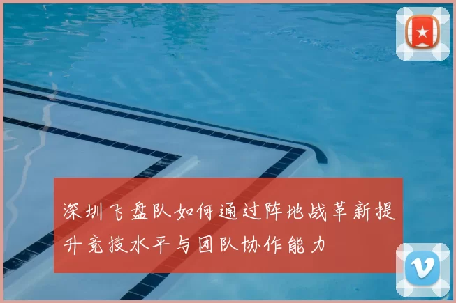 深圳飞盘队如何通过阵地战革新提升竞技水平与团队协作能力