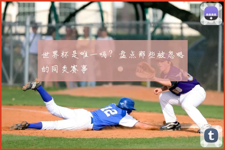 世界杯是唯一吗?盘点那些被忽略的同类赛事