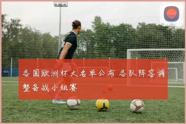 各国欧洲杯大名单公布 各队阵容调整备战小组赛